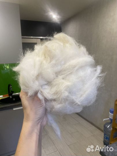 Собачья шерсть пух
