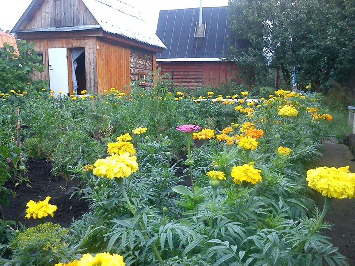 Дом 20 м² на участке 4 сот.