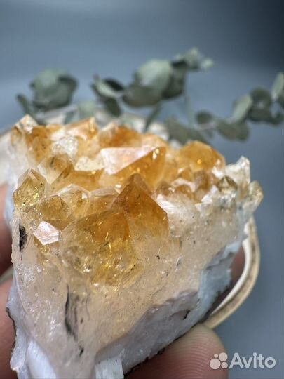 Друза Цитрина