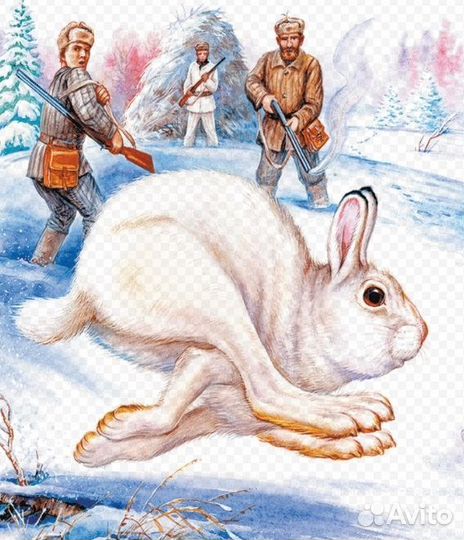 Охота на зайца с гончими