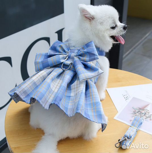 Платье для собак и кошек XS в ассортименте
