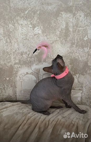 Набор игрушек для животных новое