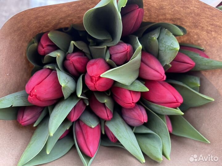 Тюльпаны на 8 марта
