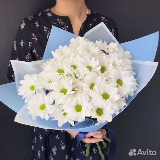 Хризантема Доставка цветов