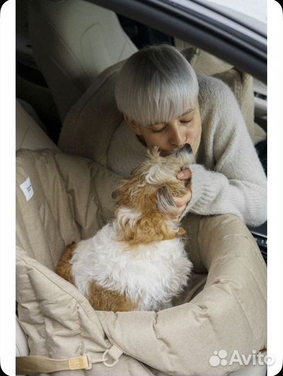 Hunting Pony Автокресло