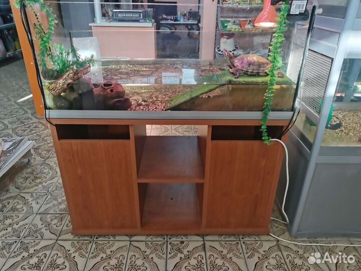 Террариум для черепахи