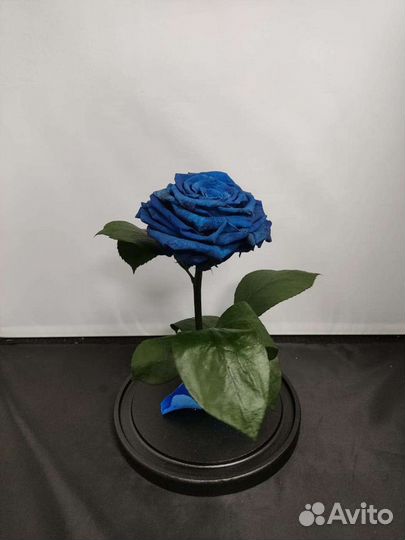 Роза в колбе оптом