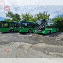 Городской автобус Zhong Tong LCK6105HG, 2024