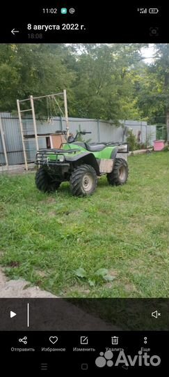 Arctic Cat bearcat 454