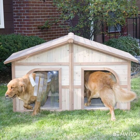 Собачья будка