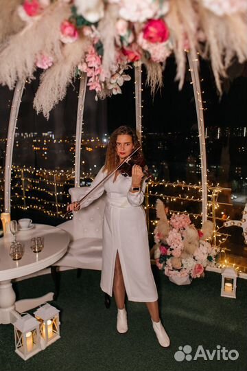 Скрипка на праздник