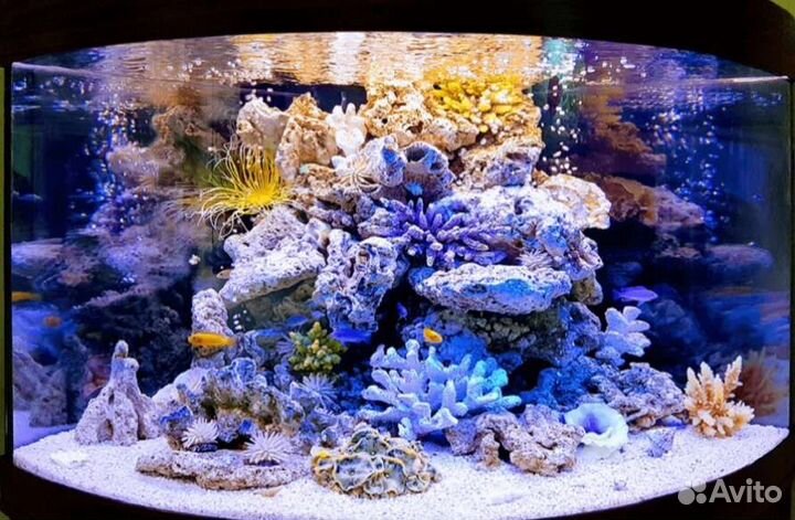 Чистка аквариума. Срочный выезд