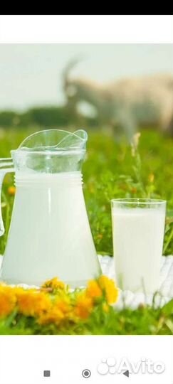 Козье молоко