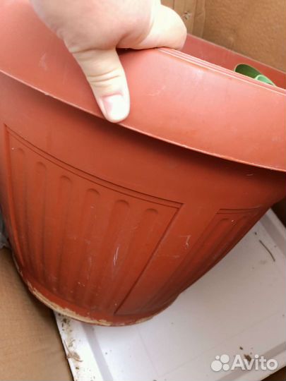 Горшки для цветов