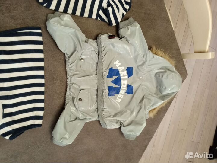 Одежда для собак мелких пород