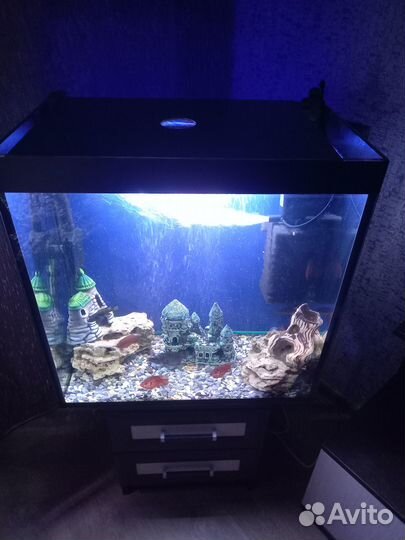 Аквариум