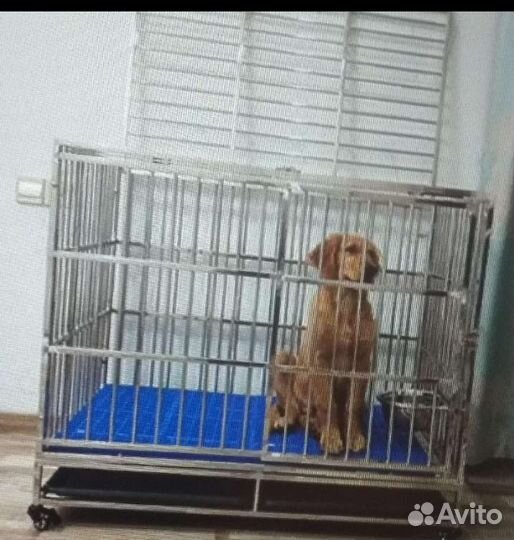 Клетка для собак
