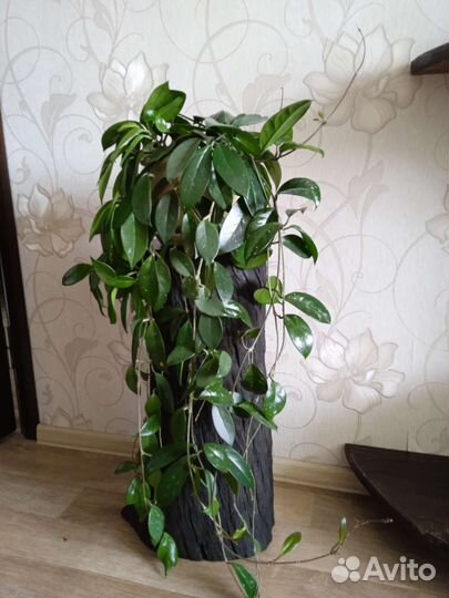 Пень интерьерный