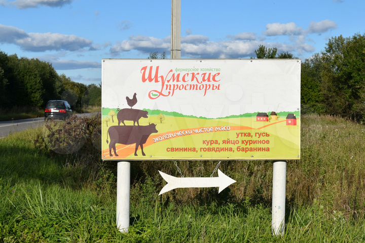 Участок 10,6 сот. (СНТ, ДНП)