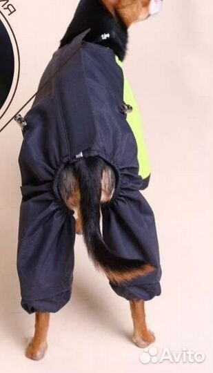 Дождевик для собаки