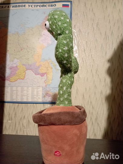 Поющий кактус