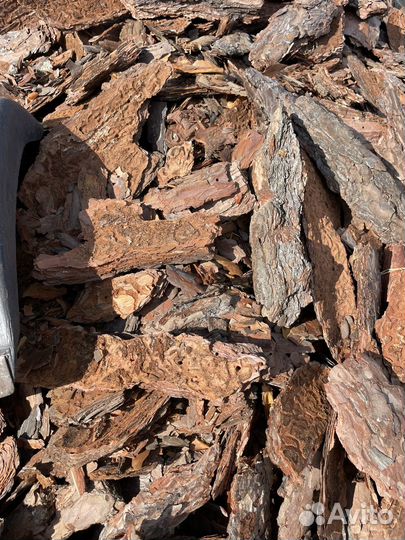 Продам кору сосны