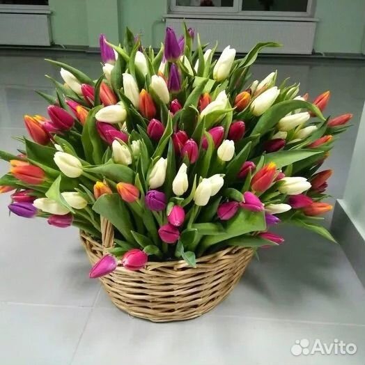 Тюльпаны с бесплатной упаковкой