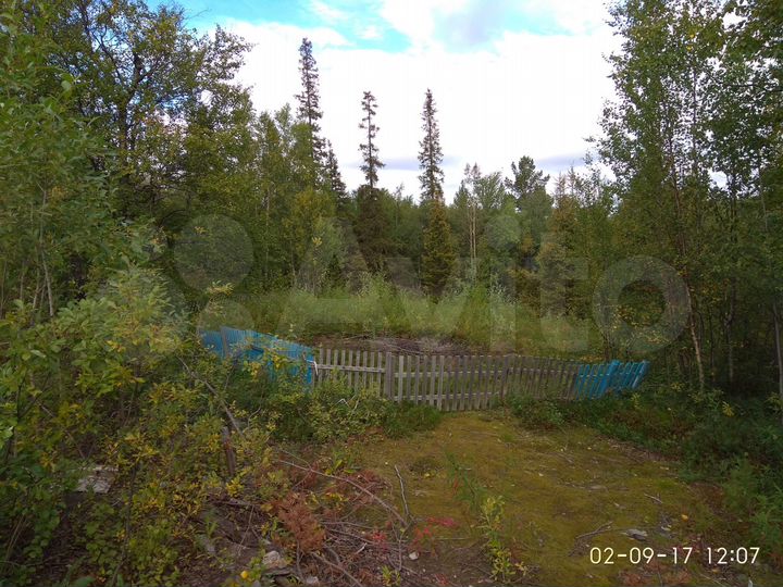 Участок 6 сот. (СНТ, ДНП)