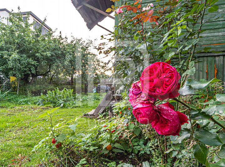 Участок 19,8 сот. (ИЖС)