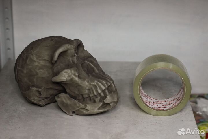 Homo Naledi реплика черепа антропология