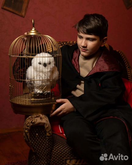 Гарри Поттер семейный отдых