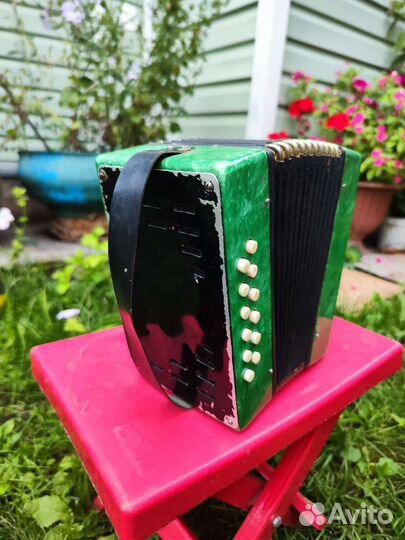 Гармонь детская