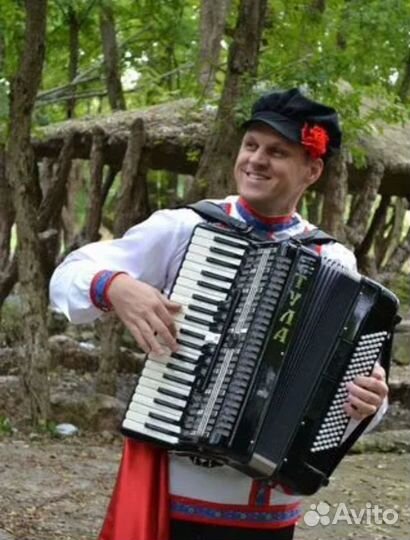 Аккордеонист, баянист,музыкант артист на праздник