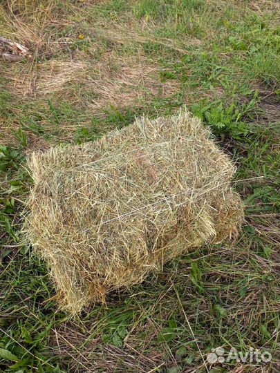 Сено в кипах