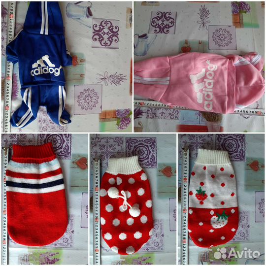 Одежда для животных