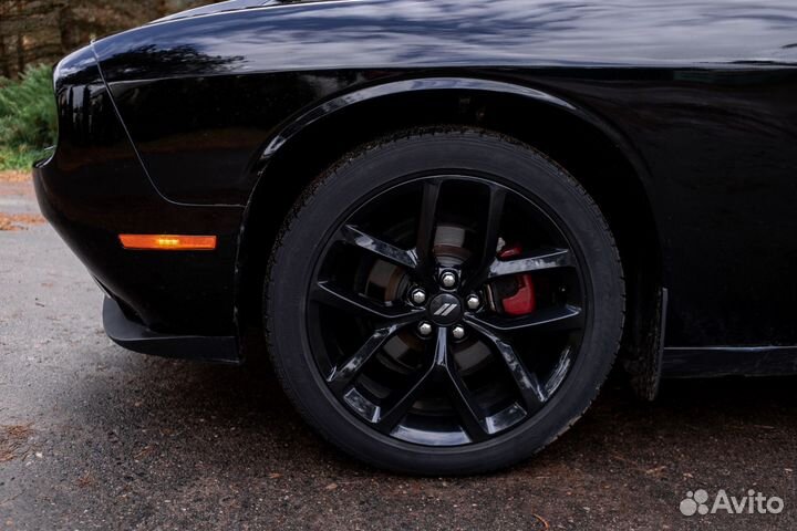 Dodge Challenger 3.6 AT, 2020, 61 500 км
