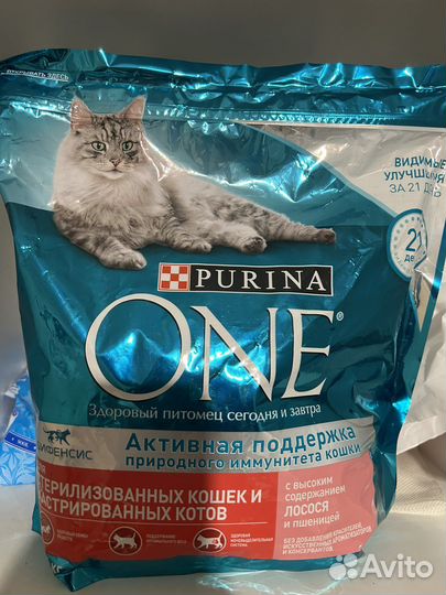 Сухой корм для кошек