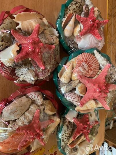 Морские ракушки раковины 1кг