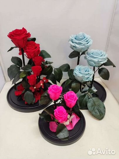 Подарок на новый год / Цветы