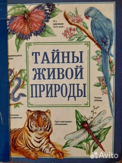 Познавательная литература