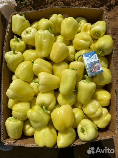 Астраханские перцы сетевое качество