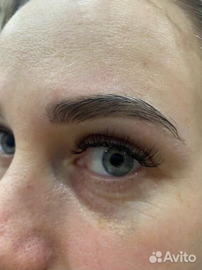 Мастер бровист