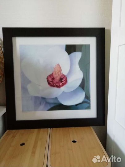 Картина, постер IKEA