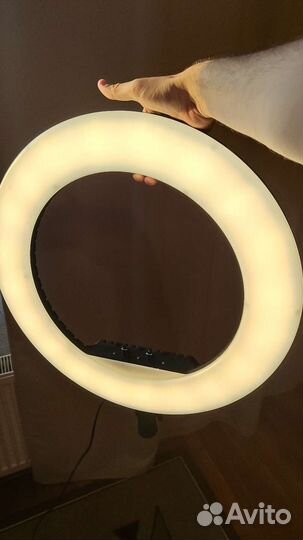 Кольцевая лампа 54см