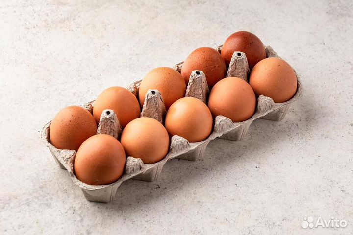 Домашние куриные яйца