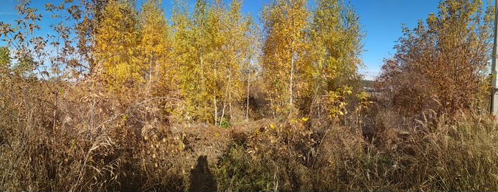 Участок 15 сот. (ИЖС)