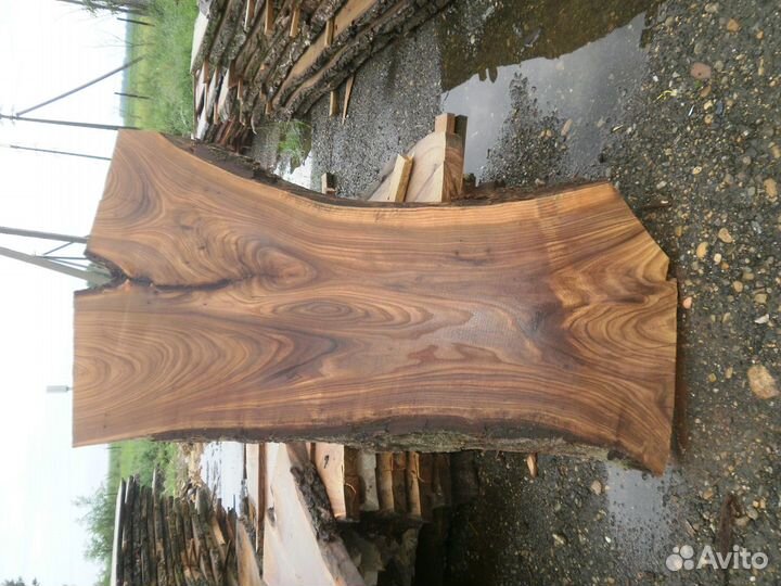 Слэбы карагача