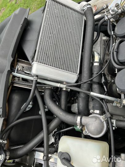 RS Viking Professional