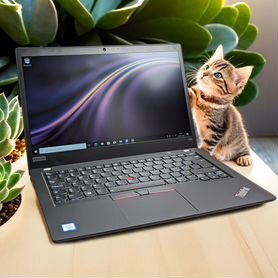 Неукротимый Lenovo T490 i5-8365U, 16GB, 256GB SSD