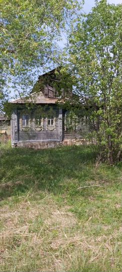 Участок 56 сот. (ИЖС)